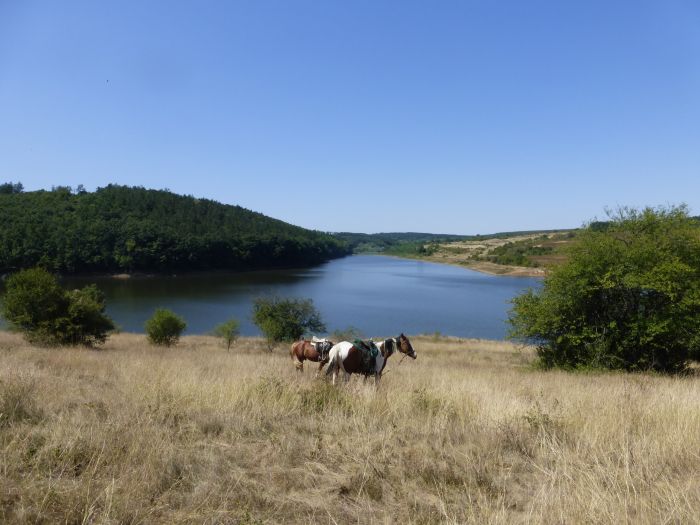 Devetaki Plateau im Galopp