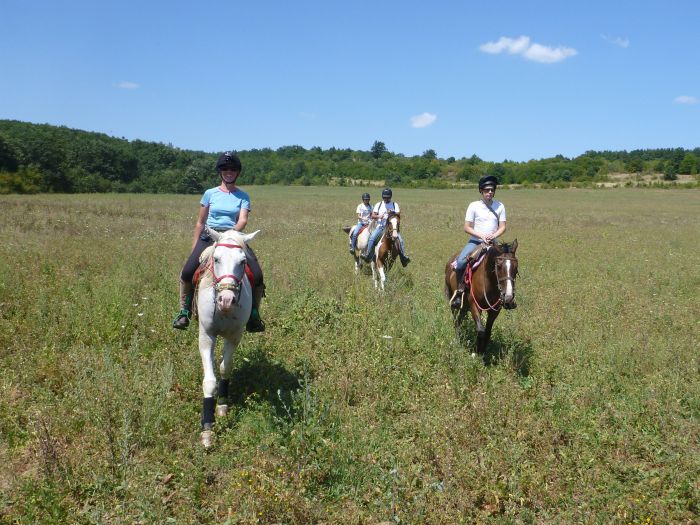 Devetaki Plateau im Galopp