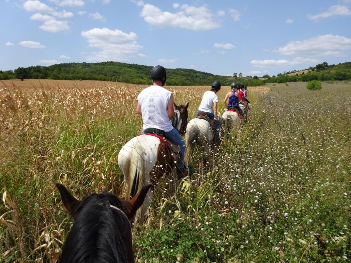 Devetaki Plateau im Galopp