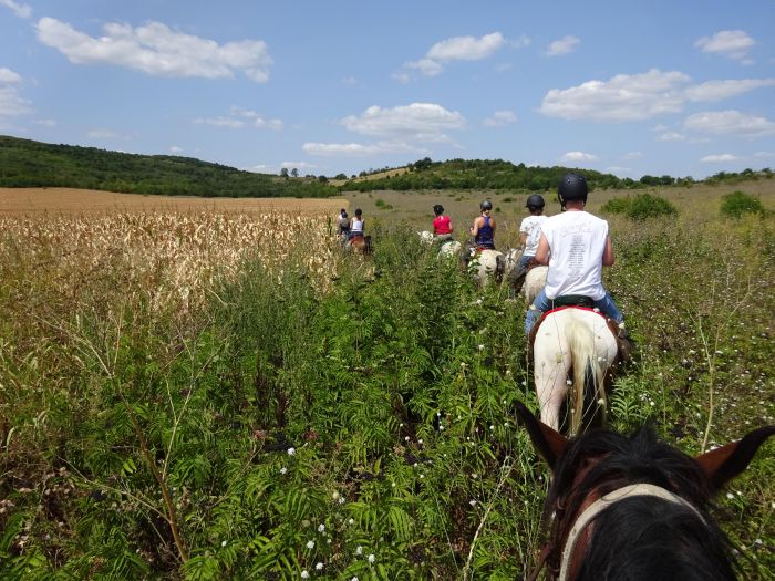 Devetaki Plateau im Galopp