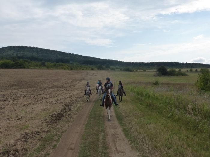 Devetaki Plateau im Galopp