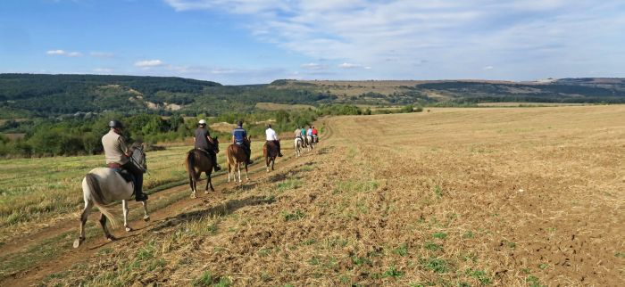 Devetaki Plateau im Galopp