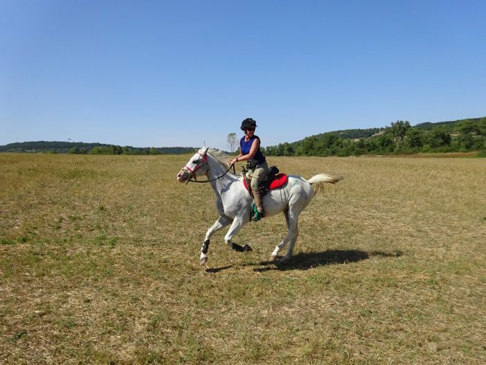 Devetaki Plateau im Galopp