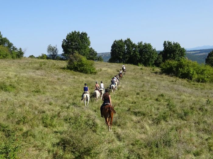 Devetaki Plateau im Galopp