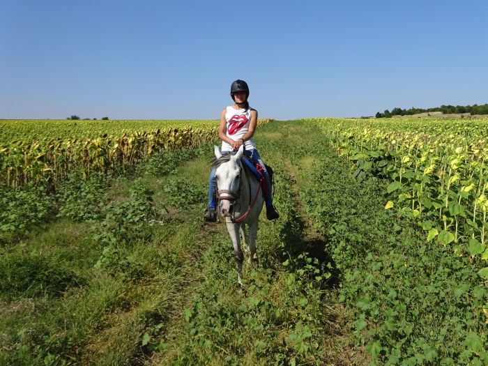 Devetaki Plateau im Galopp