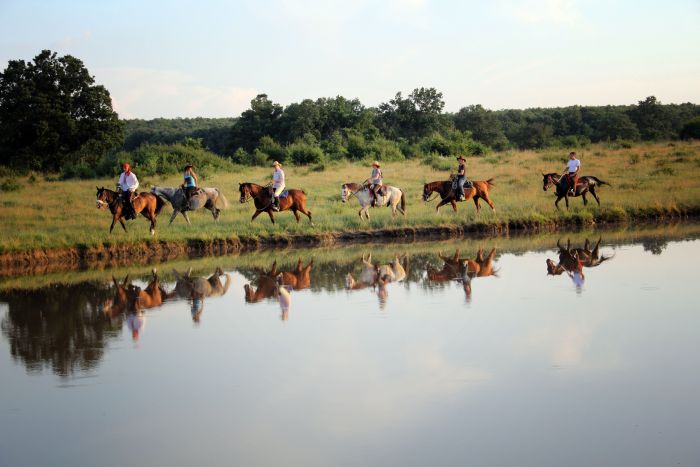 Devetaki Plateau im Galopp