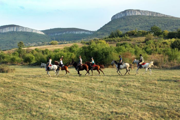 Devetaki Plateau im Galopp