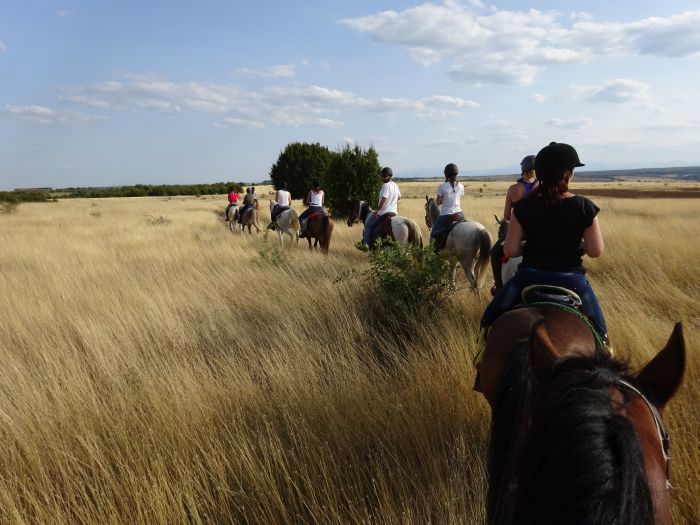 Devetaki Plateau im Galopp