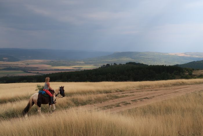 Devetaki Plateau im Galopp