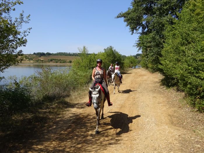 Devetaki Plateau im Galopp