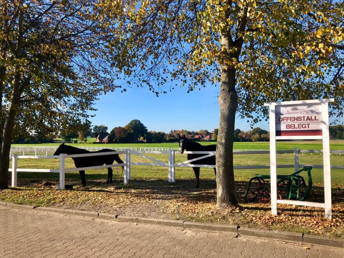 Urlaub mit eigenem Pferd/Leihpferd in der Heide