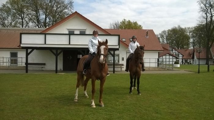 Urlaub mit eigenem Pferd/Leihpferd in der Heide