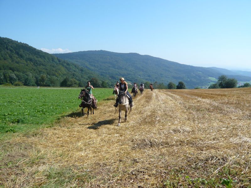 Westernreiten im Bayerischen Wald