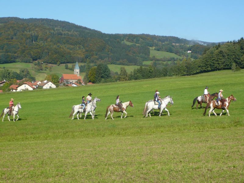 Westernreiten im Bayerischen Wald