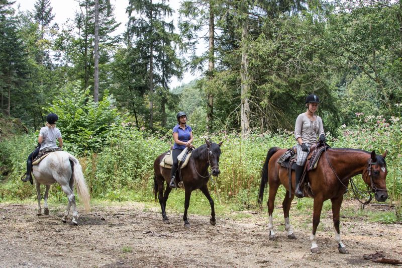 Westernreiten im Bayerischen Wald