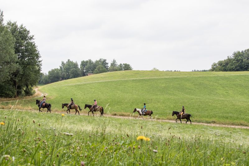 Westernreiten im Bayerischen Wald