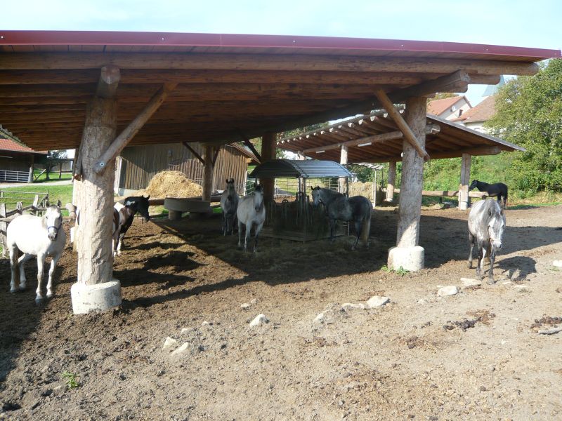 Westernreiten im Bayerischen Wald