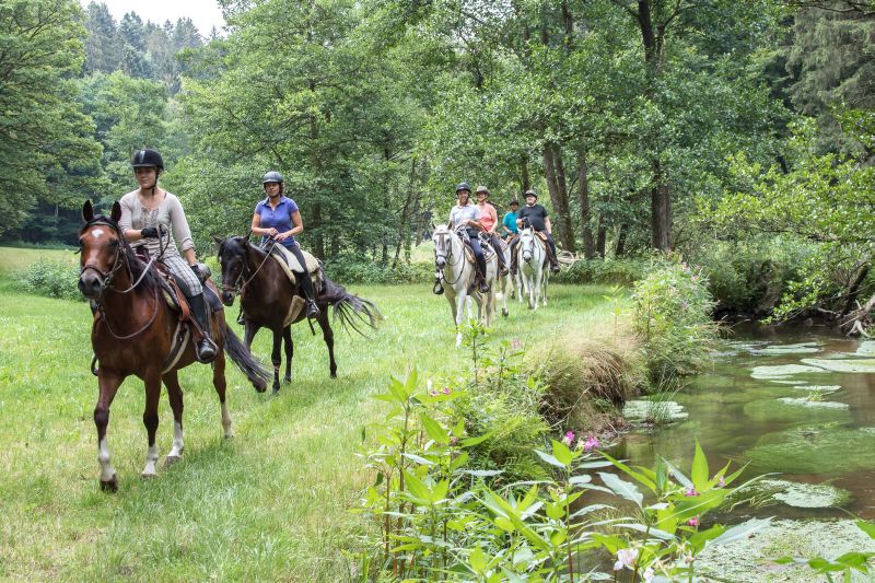 Westernreiten im Bayerischen Wald