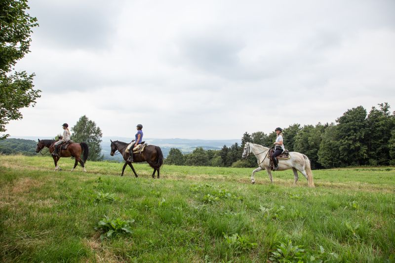 Westernreiten im Bayerischen Wald