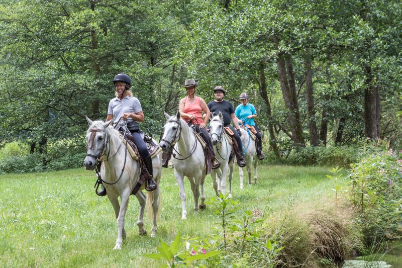 Westernreiten im Bayerischen Wald