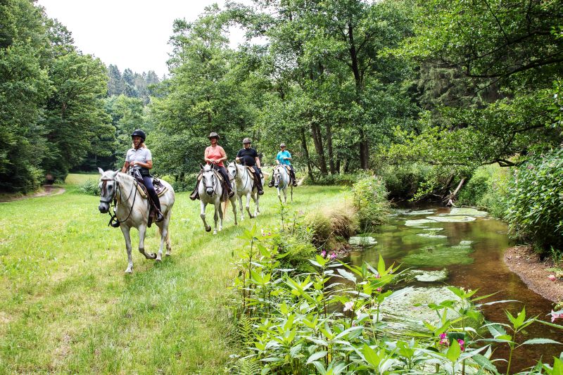 Westernreiten im Bayerischen Wald