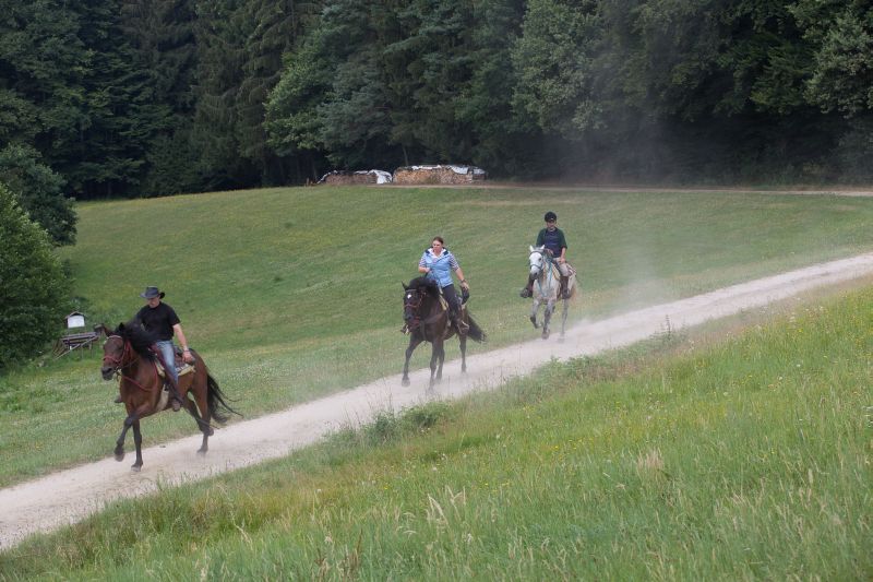 Westernreiten im Bayerischen Wald