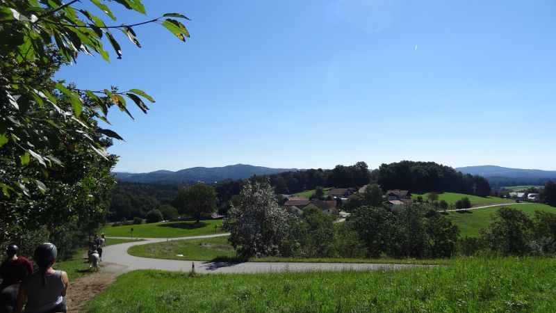 Westernreiten im Bayerischen Wald