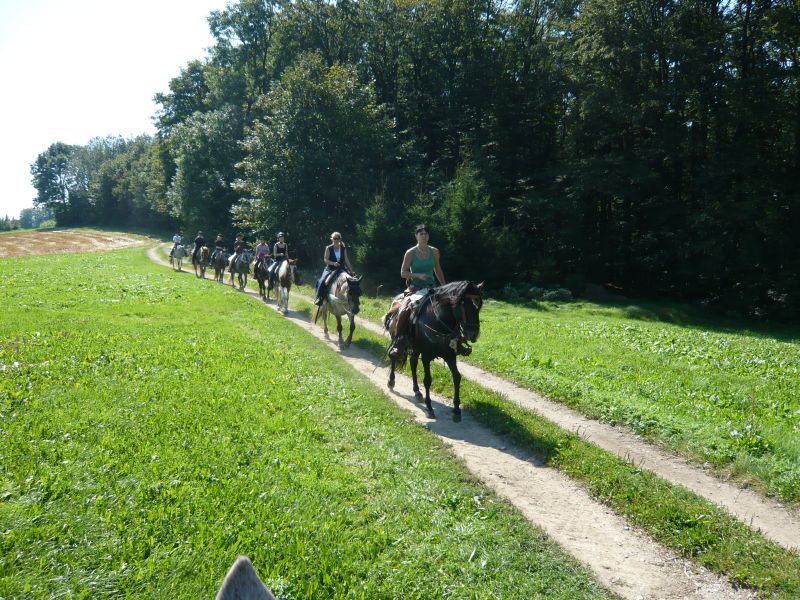 Westernreiten im Bayerischen Wald