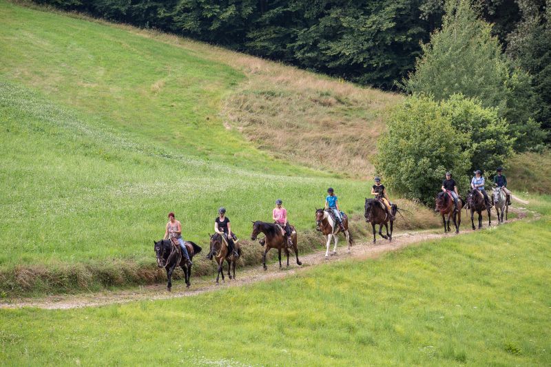 Westernreiten im Bayerischen Wald