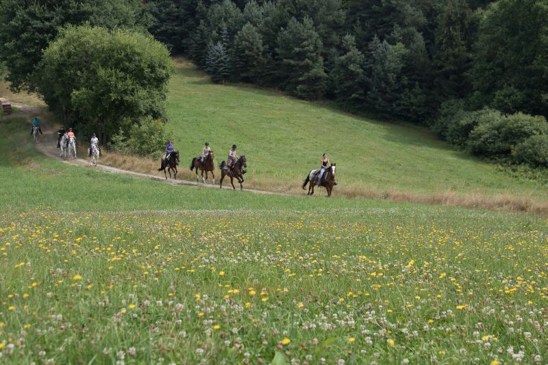 Westernreiten im Bayerischen Wald