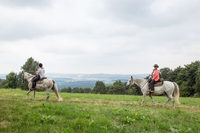 Westernreiten im Bayerischen Wald