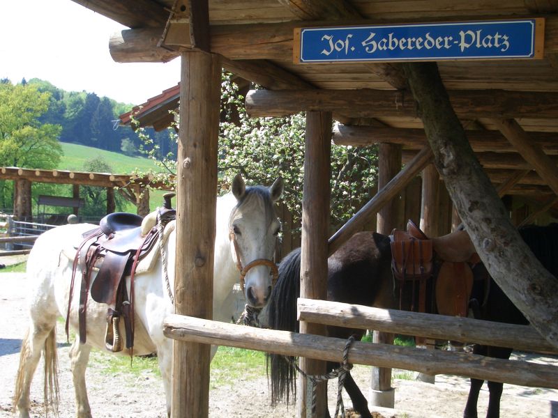 Westernreiten im Bayerischen Wald