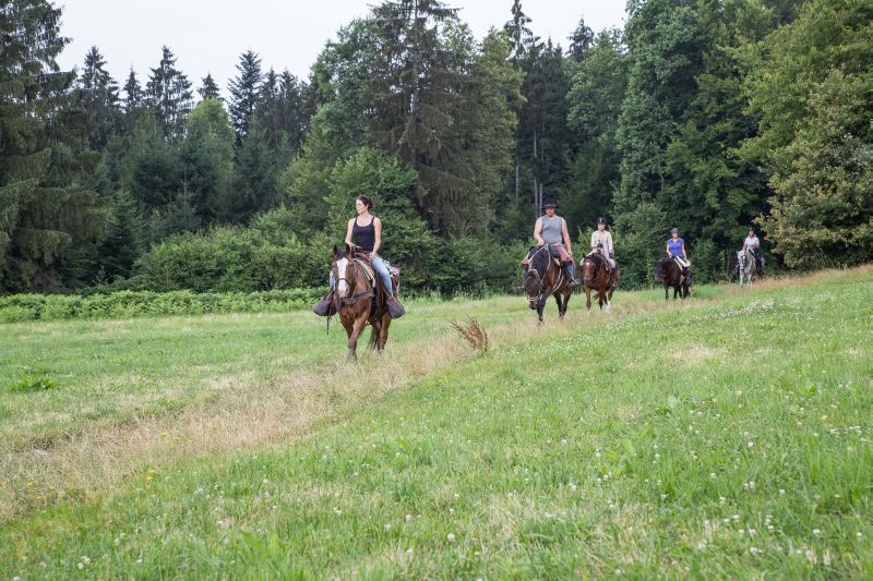 Westernreiten im Bayerischen Wald