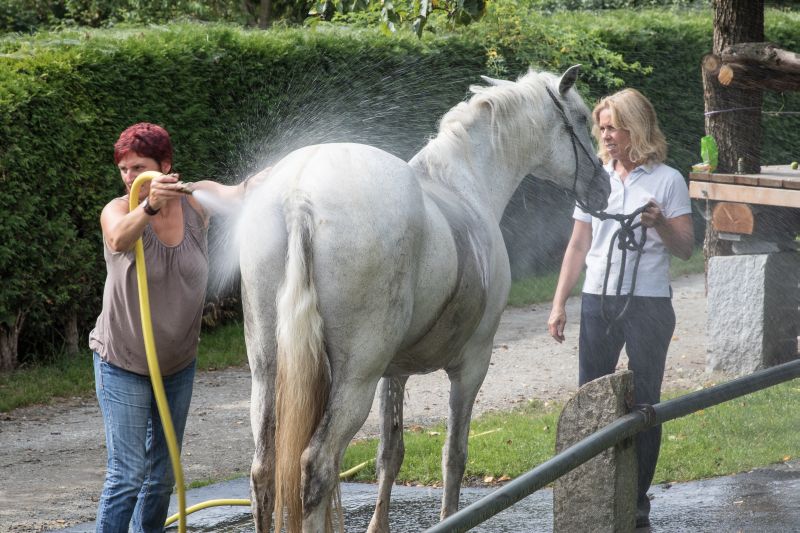 Westernreiten im Bayerischen Wald