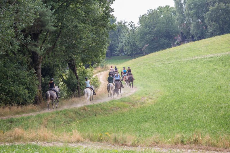 Westernreiten im Bayerischen Wald