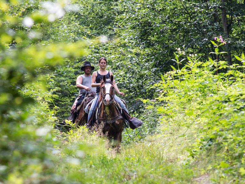 Westernreiten im Bayerischen Wald