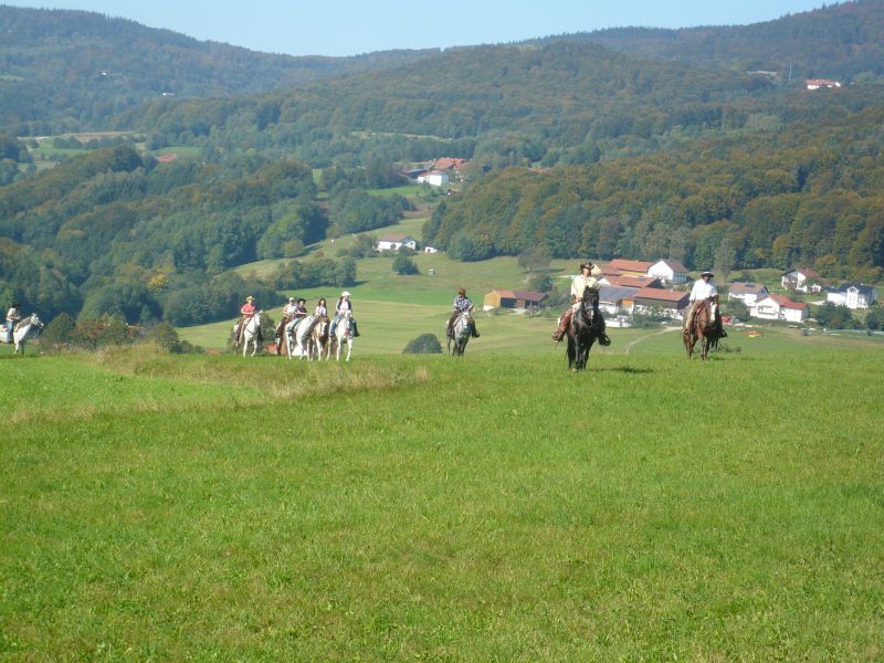 Westernreiten im Bayerischen Wald