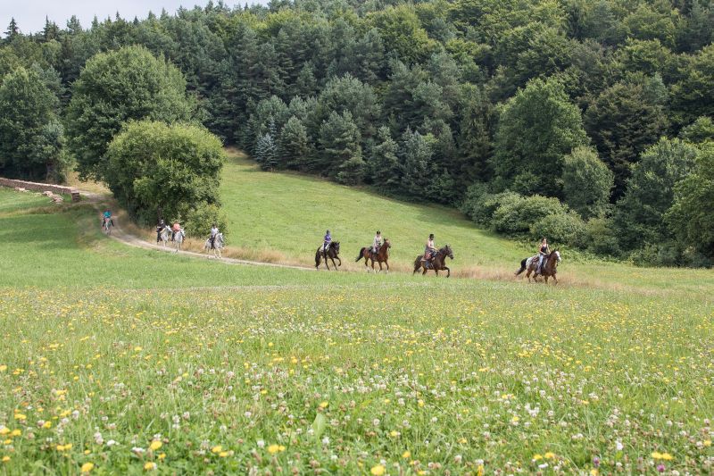 Westernreiten im Bayerischen Wald