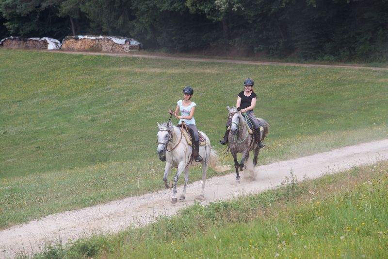 Westernreiten im Bayerischen Wald