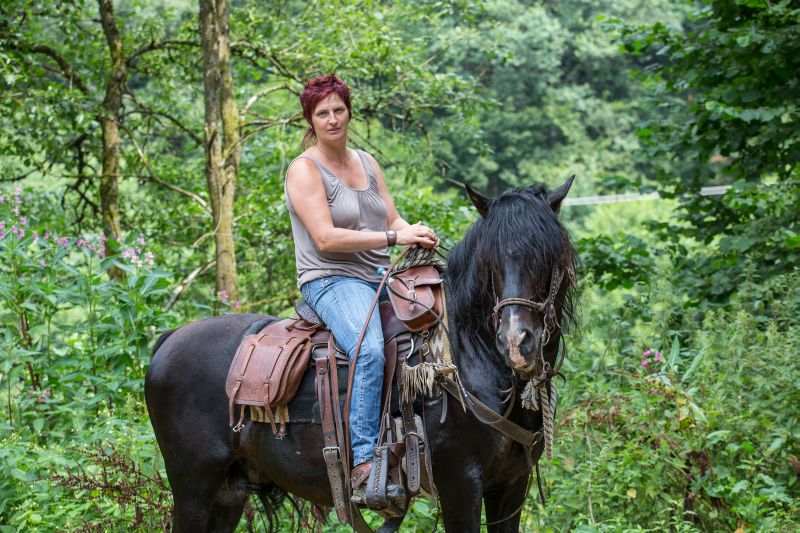 Westernreiten im Bayerischen Wald