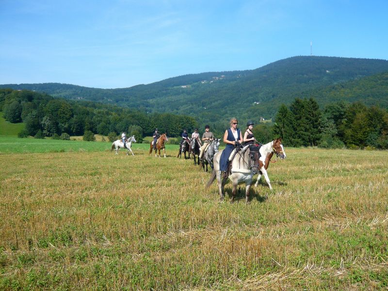 Westernreiten im Bayerischen Wald