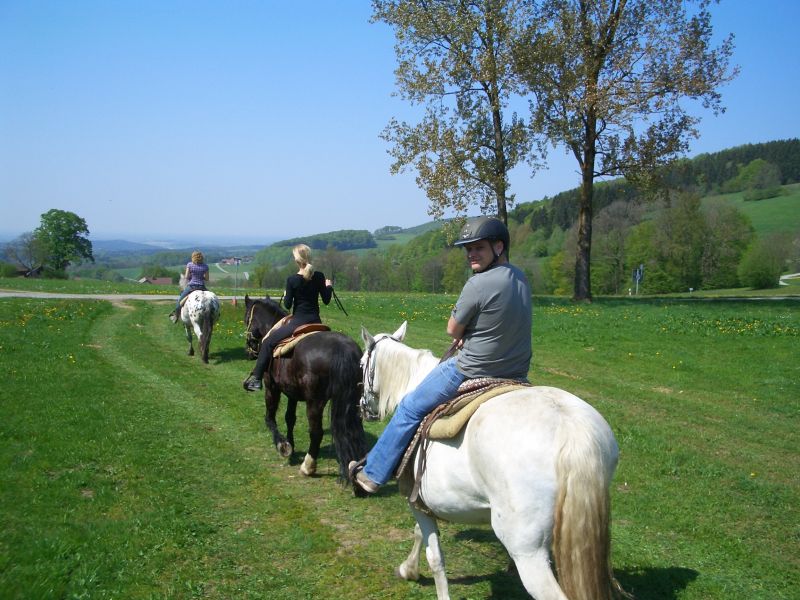 Westernreiten im Bayerischen Wald