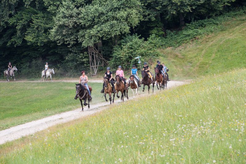 Westernreiten im Bayerischen Wald