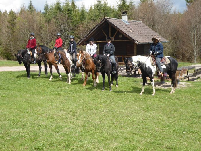 Schwarzwald- und Schluchseetrail