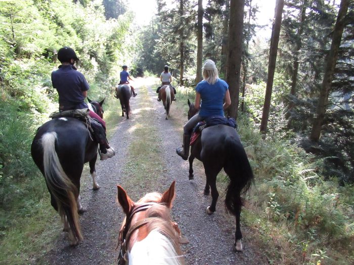 Schwarzwald- und Schluchseetrail