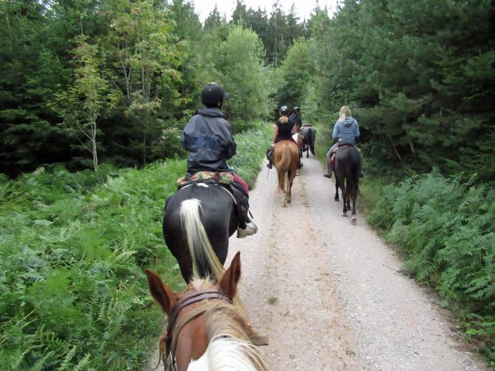 Schwarzwald- und Schluchseetrail