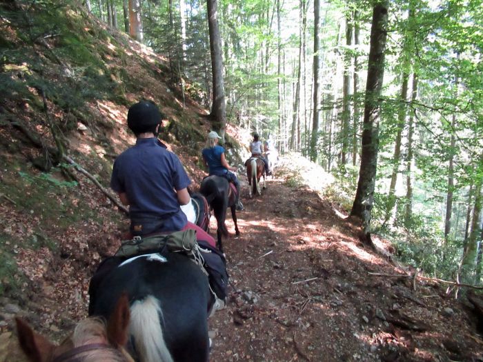 Schwarzwald- und Schluchseetrail