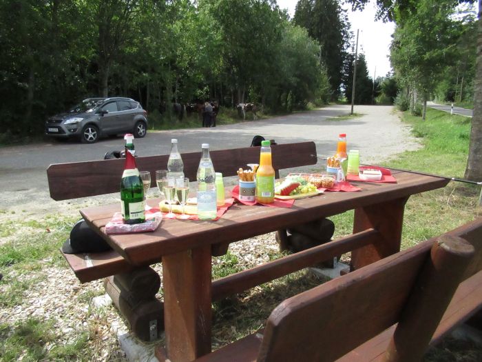 Schwarzwald- und Schluchseetrail