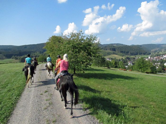 Schwarzwald- und Schluchseetrail