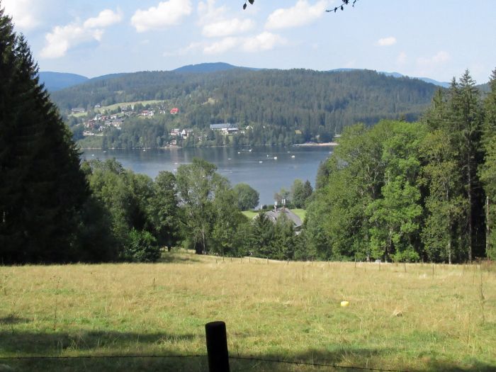 Schwarzwald- und Schluchseetrail